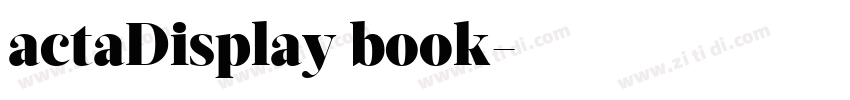 actaDisplay book字体转换